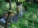 Bojkovice, výlet Bojkovice-Komňa